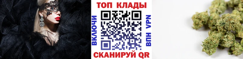 Меф Дубна