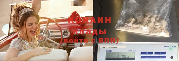 прущий лед Бородино