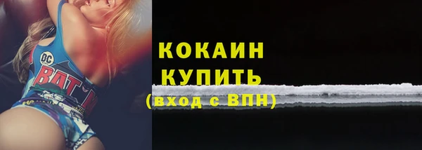 прущий лед Бородино