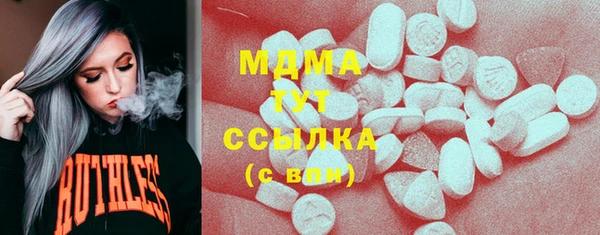 прущий лед Бородино