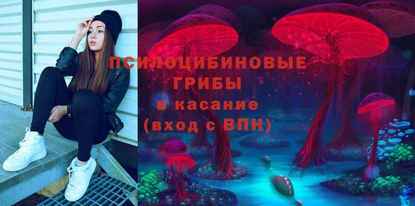 тгк Володарск