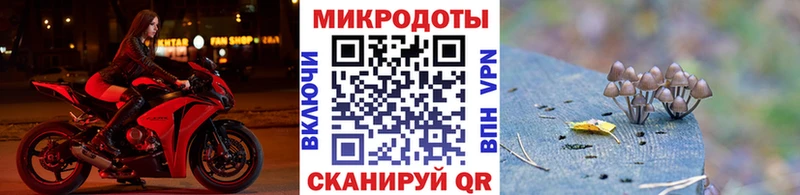 Галлюциногенные грибы GOLDEN TEACHER  Дубна 